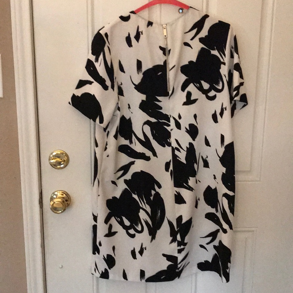 Shift Dress - Picture 2 of 2